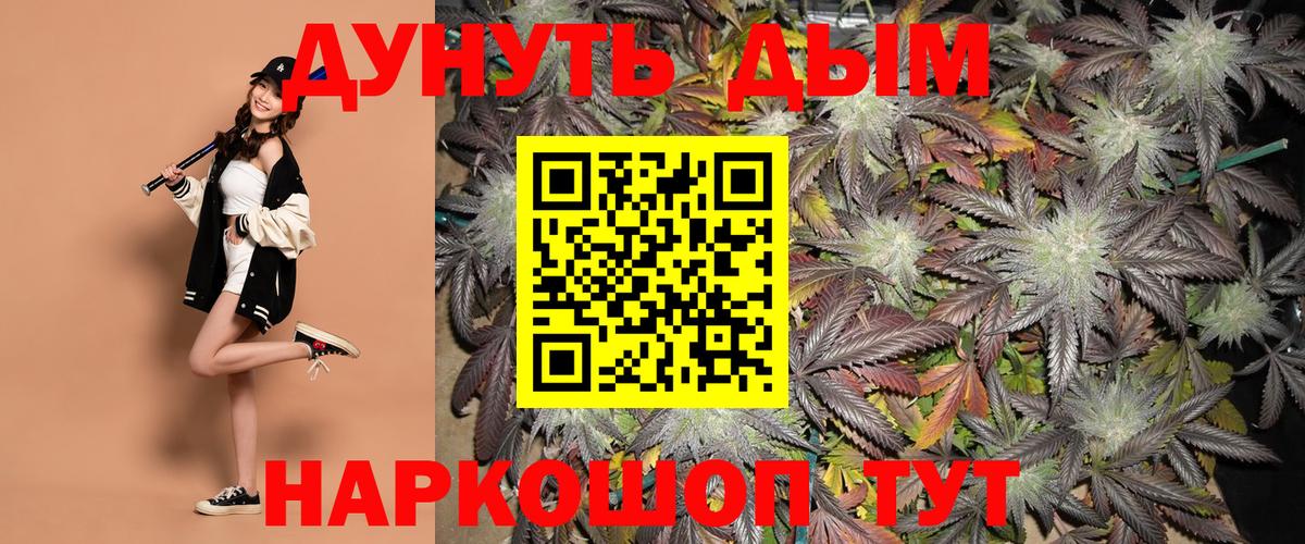 Канабис конопля Обнинск